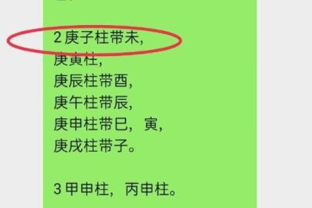 探索辛亥命忌：对命理的深刻理解与实际运用