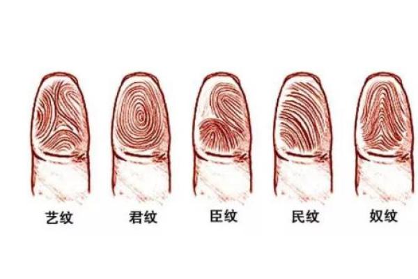 探秘手指九个簸箕，解锁命运密码的奇妙之旅