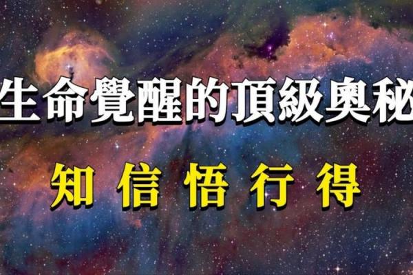 探寻“清爽命”的奥秘：如何拥有一个充满活力的人生