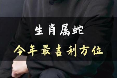 四十六岁属蛇的命运解析：揭开生肖的神秘面纱