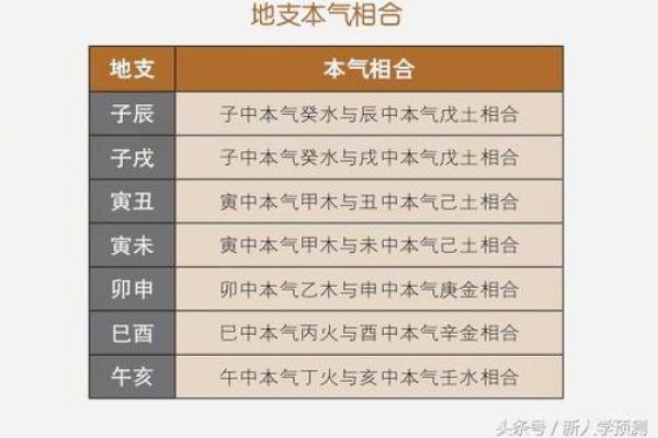 探秘壬辰时的五行命理：深入解析命理世界的奥秘与奇妙