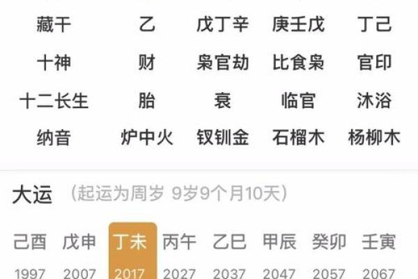 探秘八字命理：壬午、癸卯、己亥、甲子之命运解析