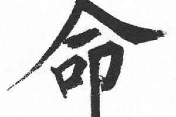 探索山西话的独特魅力：命命的深刻含义与生活智慧