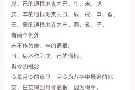 阳光下的命运探寻：男三两六的命理解析与人生启示