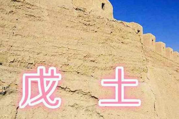 戊土男命：适合的行业与职业探索