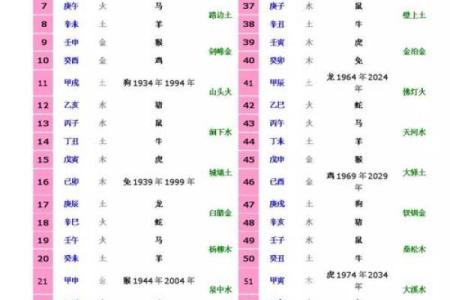 猪年出生的人五行命理解析：从“亥”看人生的机遇与挑战