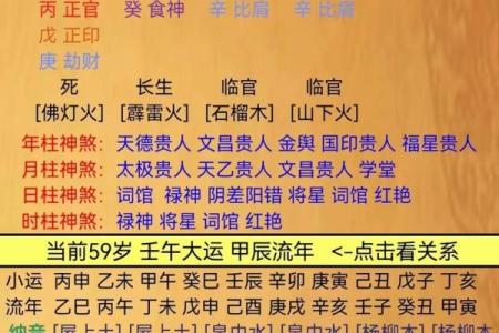 巳火命与其他命相合的最佳搭配分析