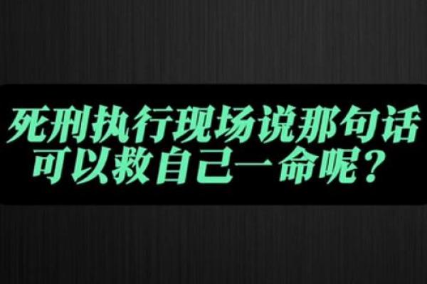 探秘“一命”“二命”“三命”的深刻含义与人生哲学