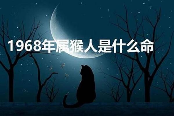 探秘属猴女农历十七的命运特点与生活智慧