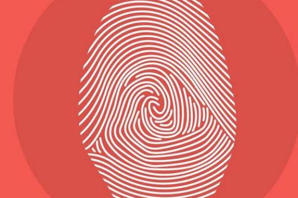四个斗的女人命运解析：探索她们的内心世界与生活挑战