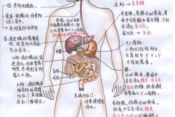 探索山下火命的奥秘：了解你的命理特征与人生规划