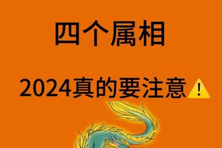 探寻金水命的秘密：解析金水命属相的魅力与特征