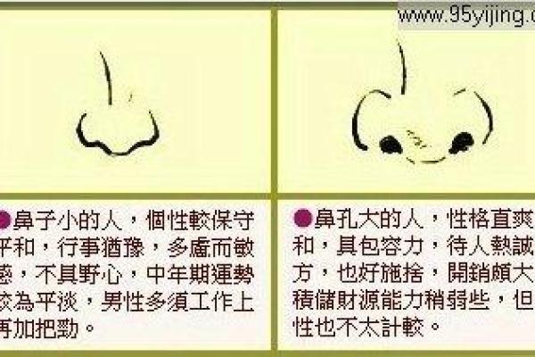 探究“命强”之深意：解析算命术中的命运观念