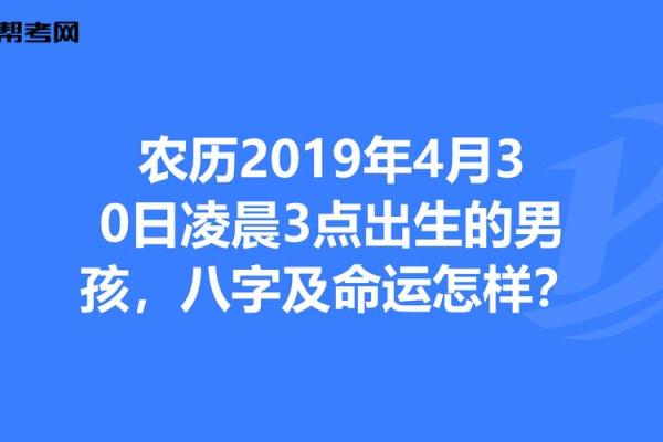 阴历81年出生的人命运解析：你是哪种命？