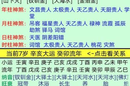 辛亥日生人与五行命理，揭秘人生的运势与命格！