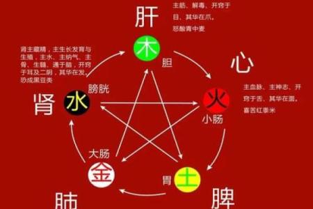 探秘五行之说：水命与火命的深刻含义与生活启示