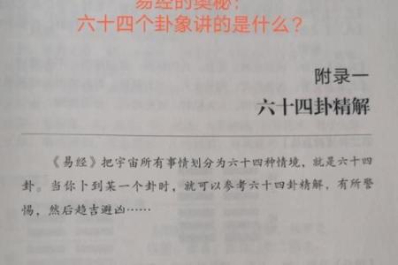 同宫命局解析：探寻女性命运之奥秘与智慧