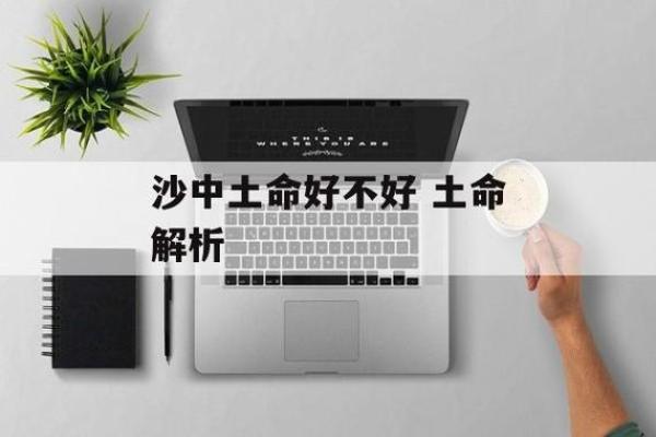 土命解析：深度探索一个人的土命特征与人生轨迹