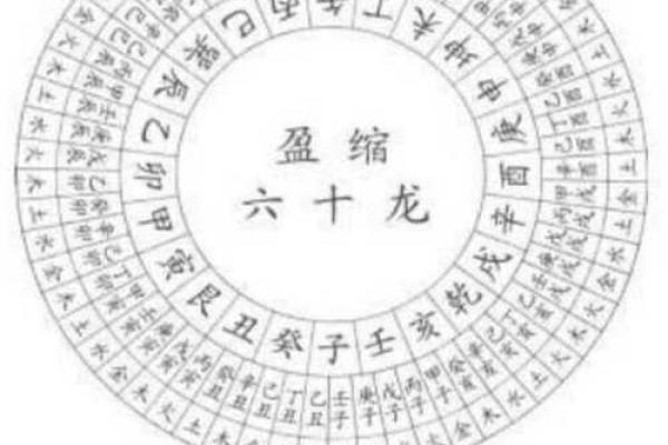 水命人适合发展的行业与职业选择指南