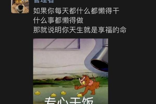 网友们的命也是命：那些搞笑而值得深思的生活瞬间