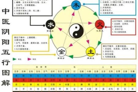 阴命与阳命：解读命理中的神秘力量与人生轨迹