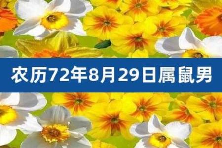 阴历26岁属鼠的命运解析：细数生肖的智慧与机遇