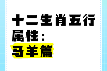 探秘十二生肖：五行与命运的奇妙联系