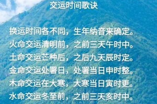 水命人与木命的完美结合：相辅相成，让生活更美好