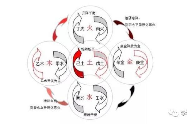 探索日元丁火男命的最佳伴侣选择：她们的特质与魅力