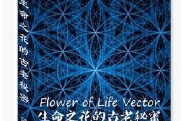 延缓器官老化的秘密：揭开生命续航的密码