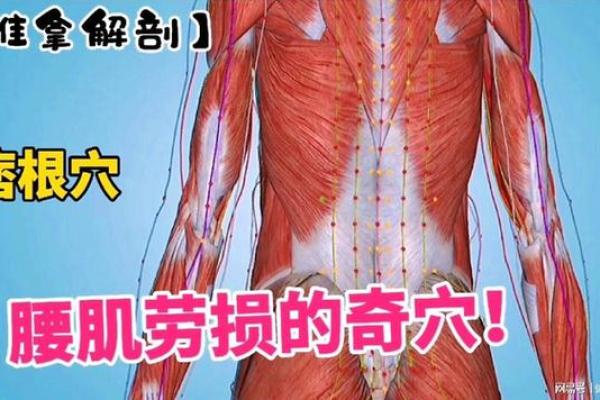 为什么说腰是男人的命：从健康到魅力的全方位解读