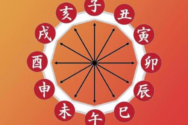 月柱乙巳与日柱乙亥的命理解析：细腻情感与敏锐洞察的结合