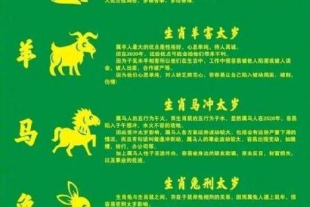 探索八四年属鼠者的命运与性格特点：命运的多样化分析