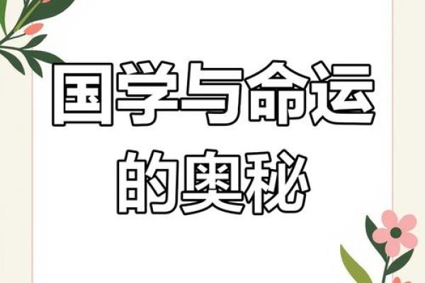 探秘命运：根据出生日期如何揭示命运奥秘