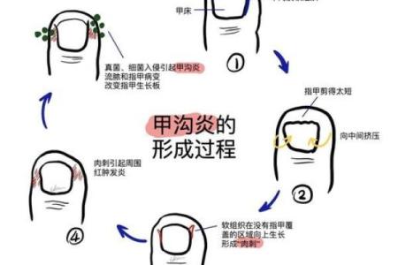 长指甲的五行属性与命理解析：你知道吗？