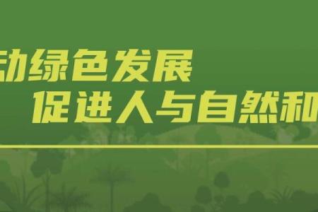 探寻木命人的最佳配对：与哪些命相互促进更和谐？