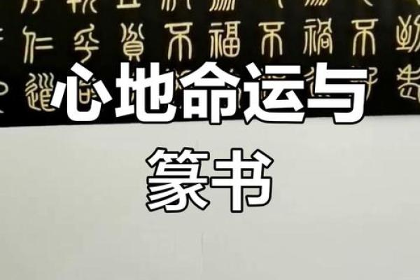 探索命运的奥秘：我们在世间的意义与追求