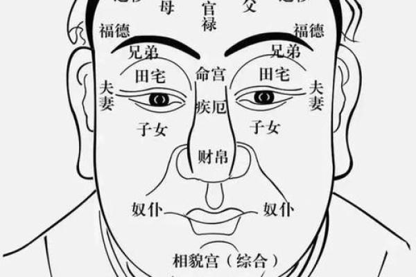 真正的阴性八字命：揭开命理的神秘面纱，探索人生方向