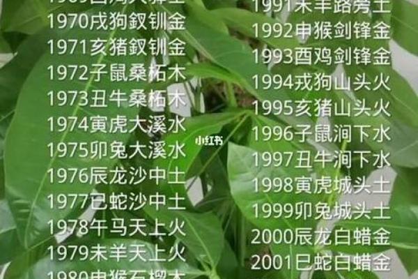 探寻五行金命之美：适合金命之人的名字选择与意义