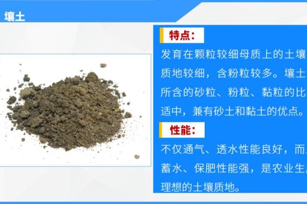 五行属水命的禁忌：最忌使用的土壤类型解析