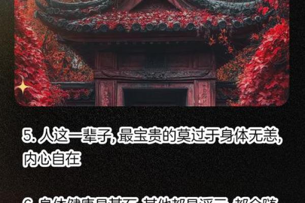 唯命是图：如何在生活中找到符合内心的方向