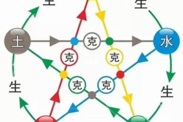 王艺洁：五行命理解析与人生启示