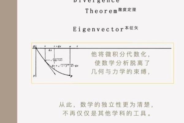 探秘蜘蛛结网之命：解读自然的智慧与生命的哲学