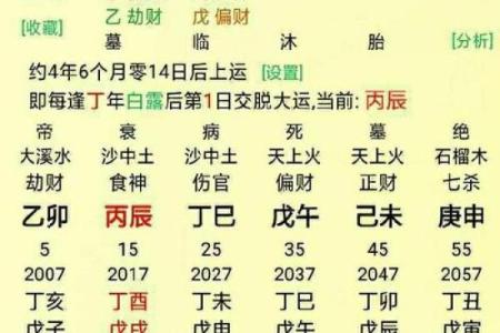 杨柳木命的最佳搭配：探寻与它最合适的命理组合