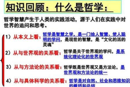 探秘蜘蛛结网之命：解读自然的智慧与生命的哲学