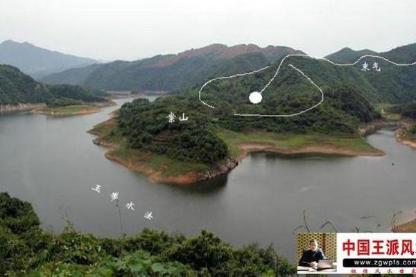 选择山头命坟地理想树种，养生与风水兼顾的最佳方案