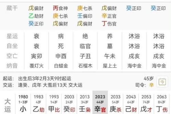 探索女人坤二命的魅力与智慧，揭示命理背后的奥秘与人生启示