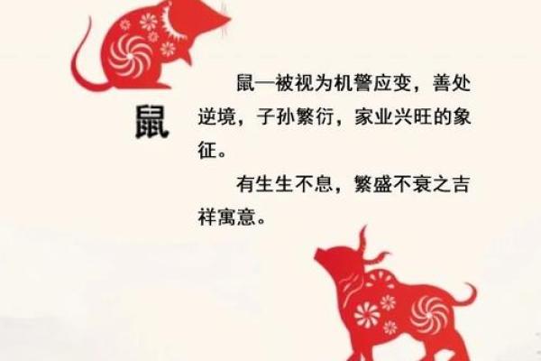 为何生肖被视作天生命运的象征？探寻生肖背后的文化寓意与影响