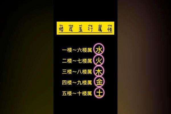 水命与木命的财运比拼：谁才是真正的“财星”？