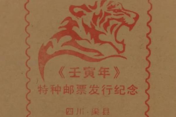 探讨壬寅癸卯丁丑壬寅的命理奥秘与生命智慧